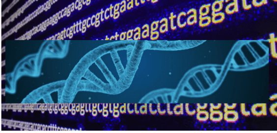 DNA – Your Blueprint and Whence it Came