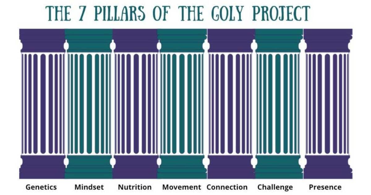 7 Pillars | Ask Dr. Gill