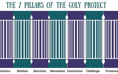 The 7 Critical Pillars of The GOLY Project
