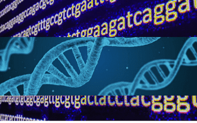 DNA – Your Blueprint and Whence it Came